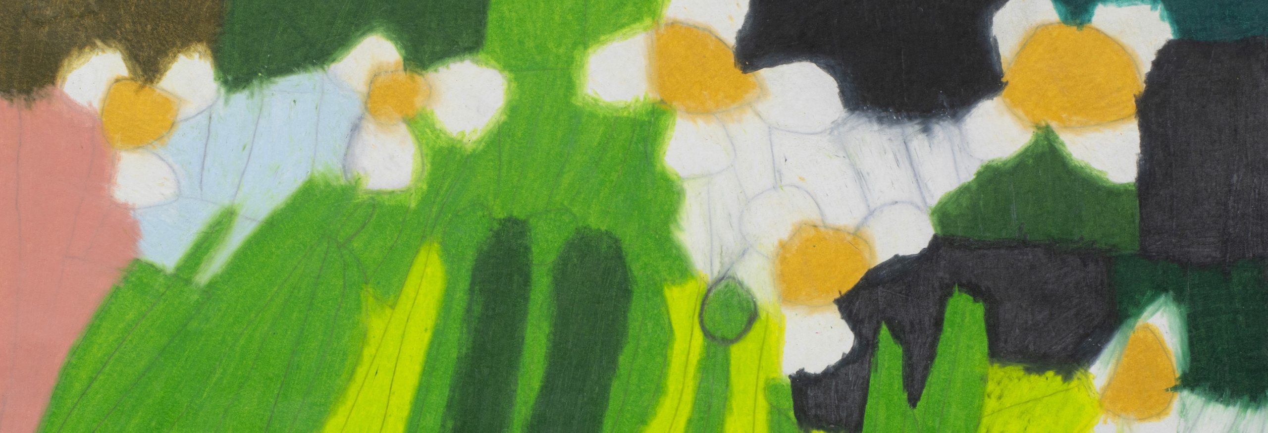 A drawing of white daisies surrounded by abstract green foliage