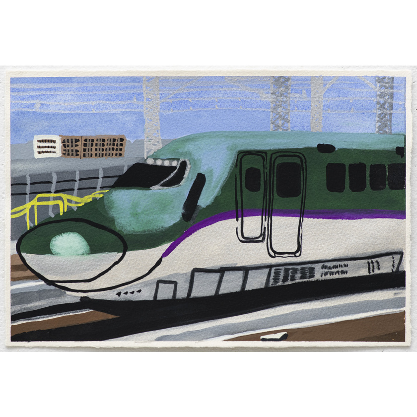 H5 Series Shinkansen Train