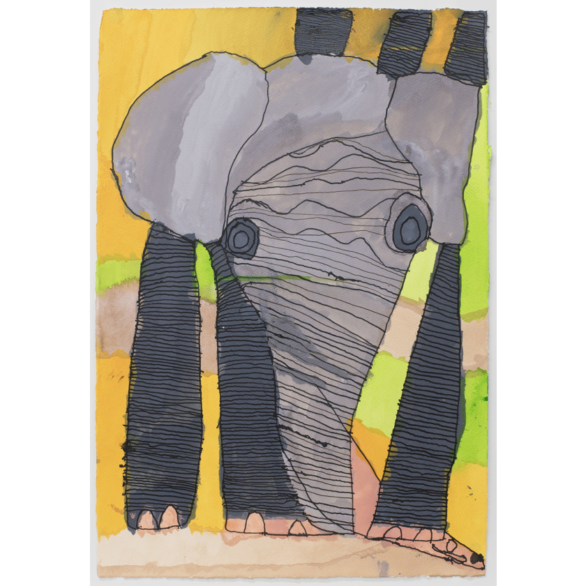 Elephants Matthews