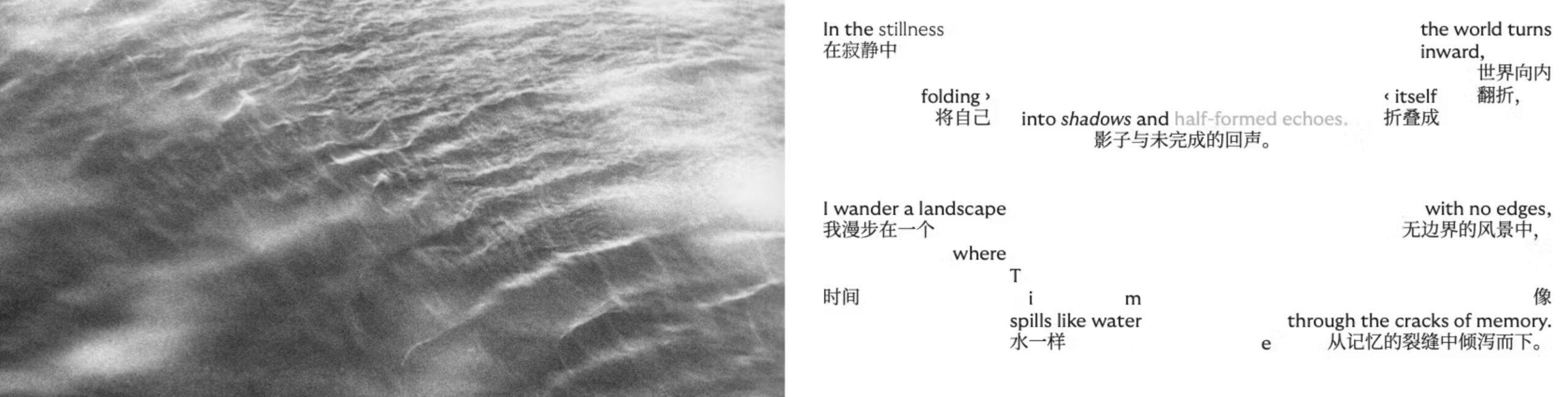 Translations Perspectives (detail)