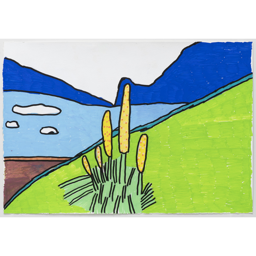 Landscape