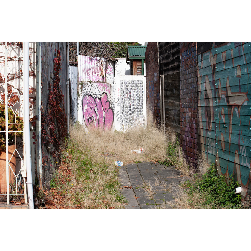 Urban Jungle