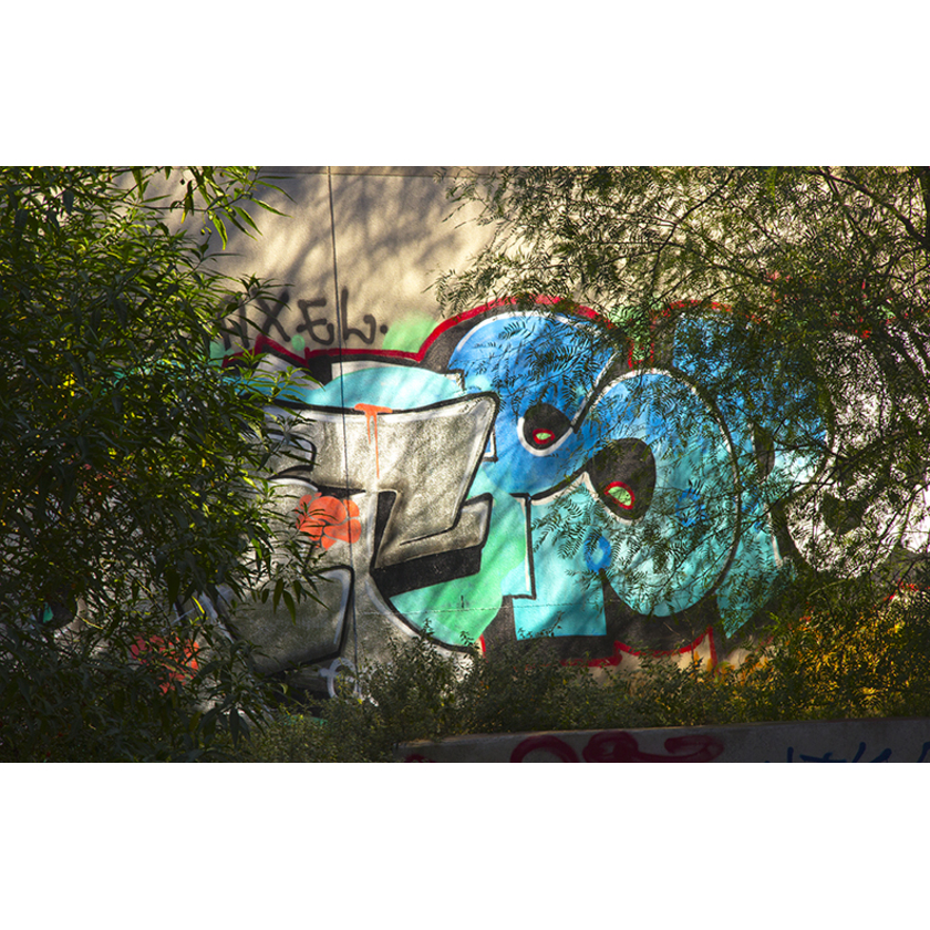 Jungle Scene