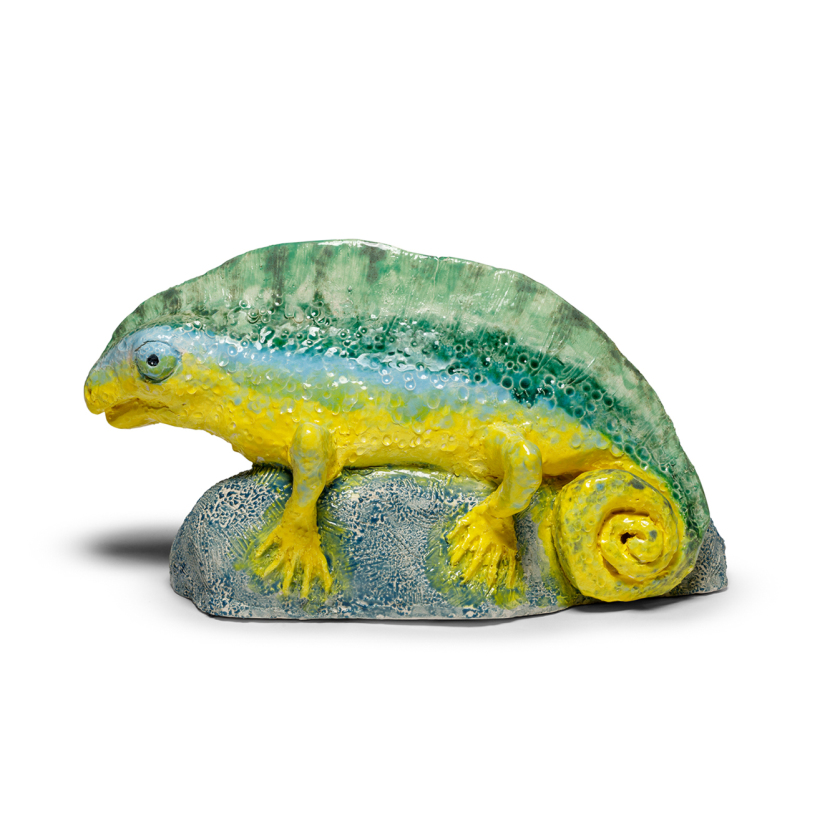 Chameleon on Rock