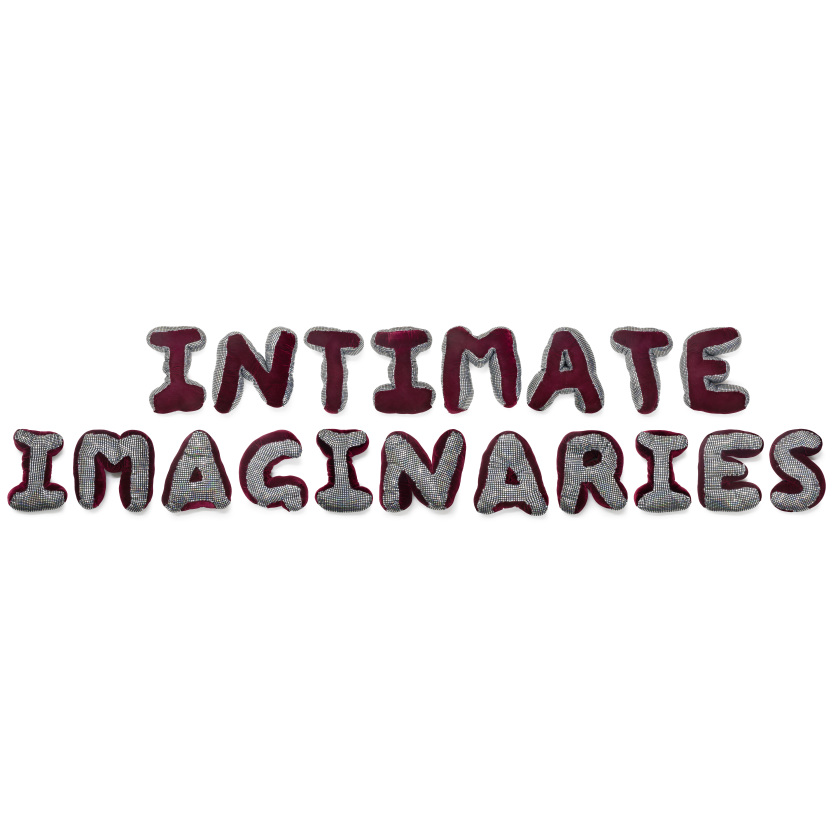 Intimate Imaginaries