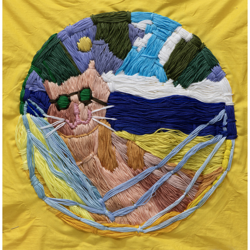 Cat in Sun lounge on Beach