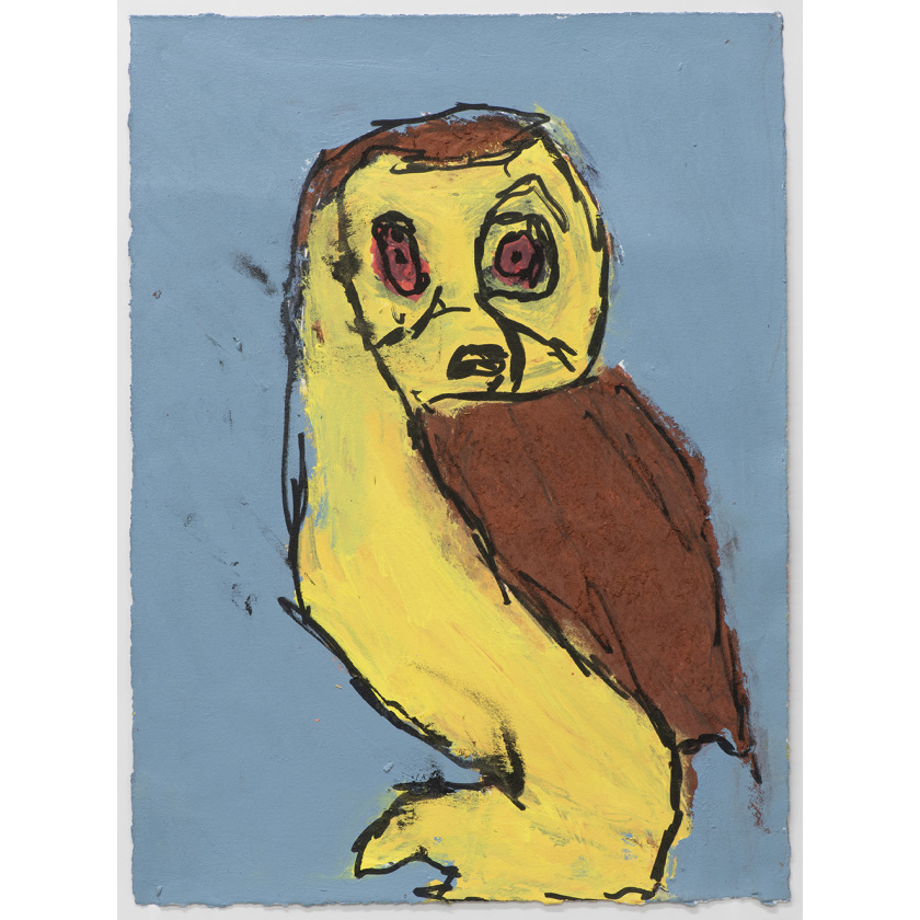 Owl