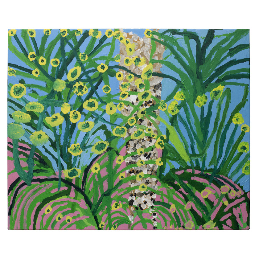 Healesville Scenery 3