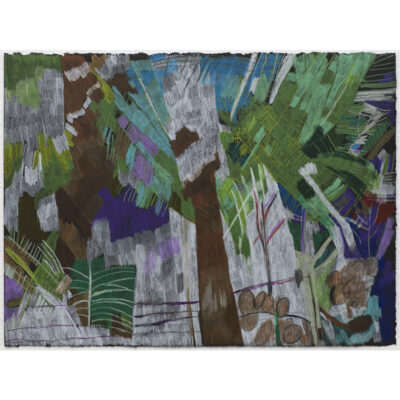 Tree Fern with Rocks and Water