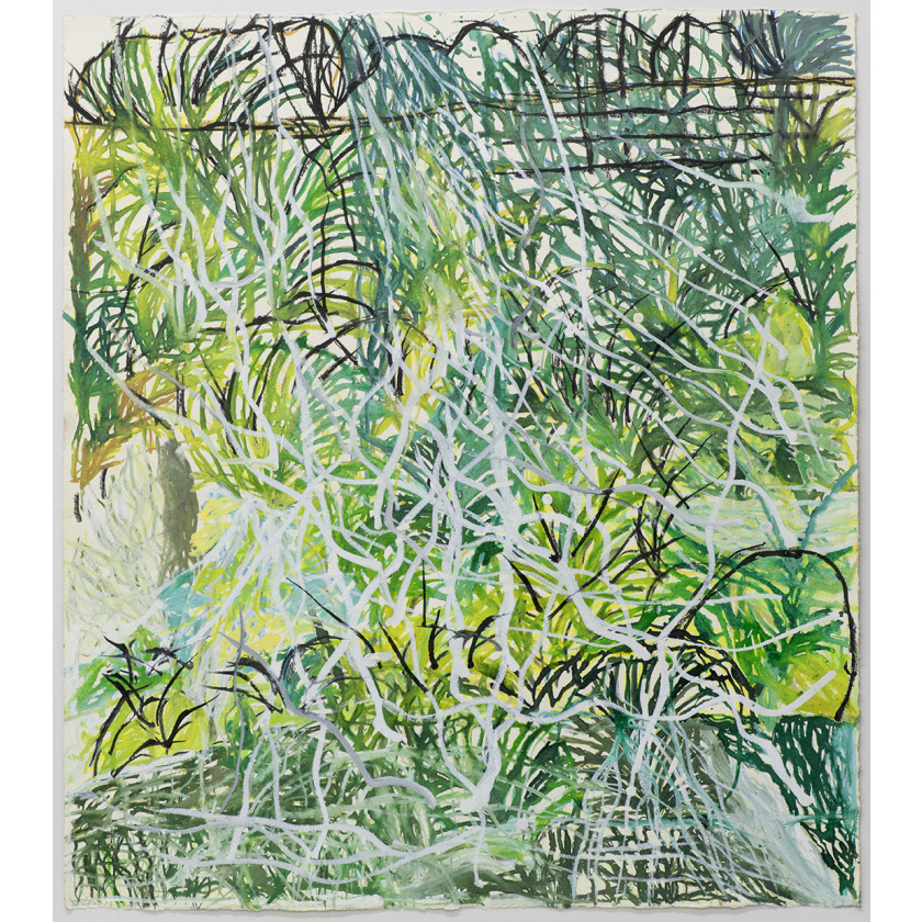 Park Queensland Lamington National ELEbana Fall