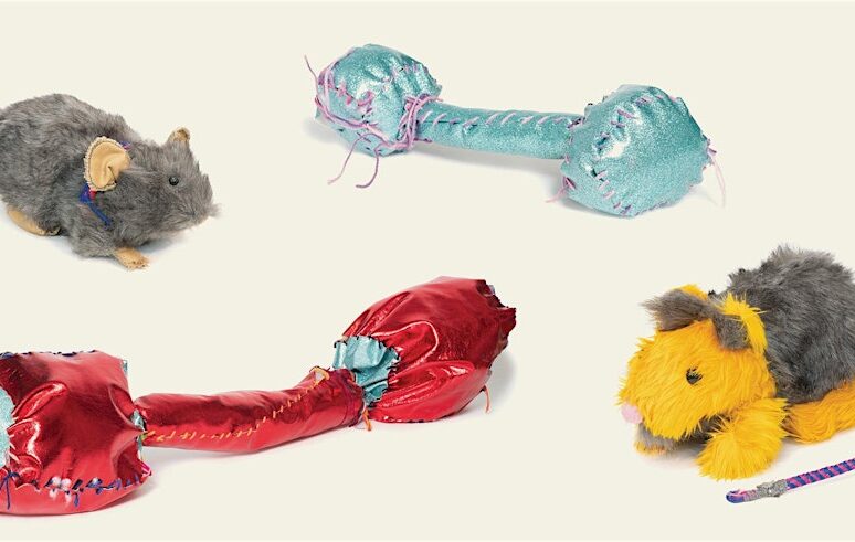 Soft sculpture rats and barbells