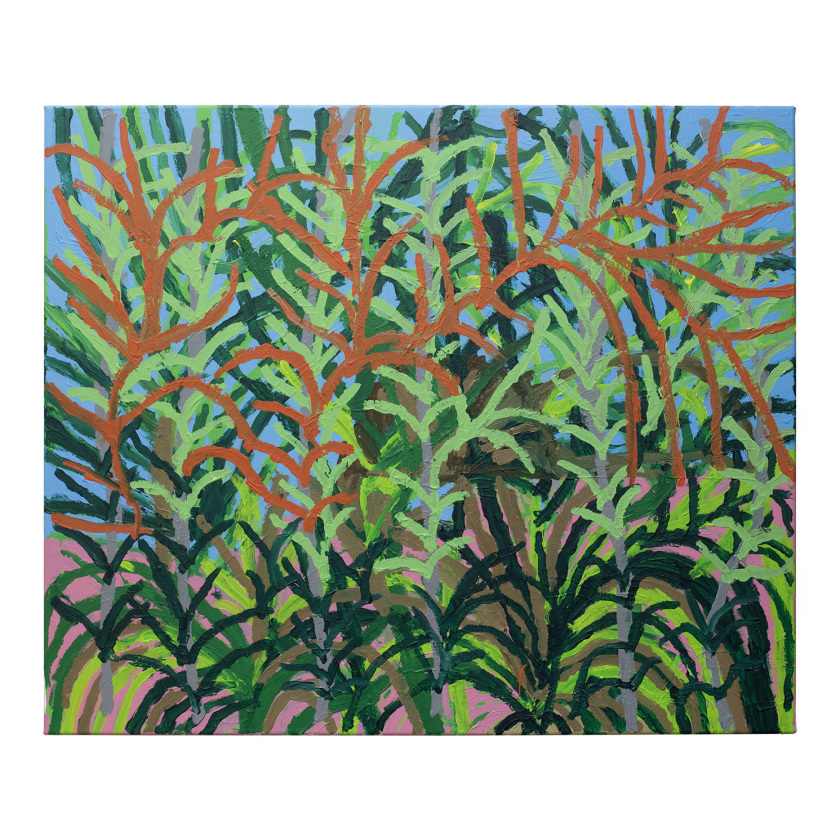 Healesville Scenery 4