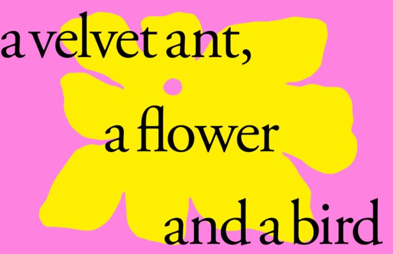 A promotional banner for A velvet ant, a flower and a bird.