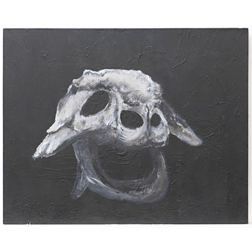 Untitled (animal skull)