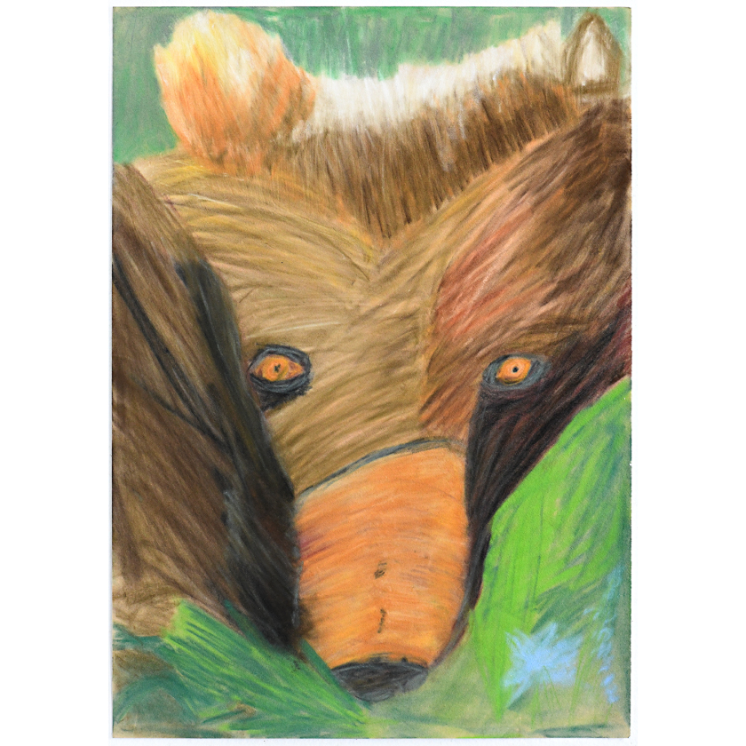 The Brown Bear from Syberia