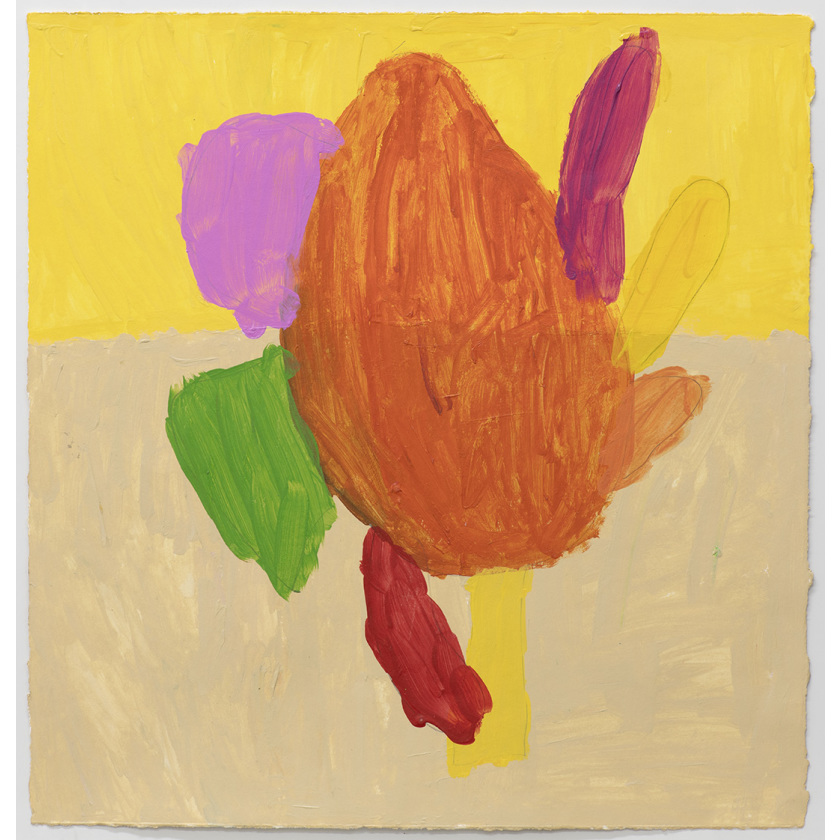 Cappadocia Flower Turkeye