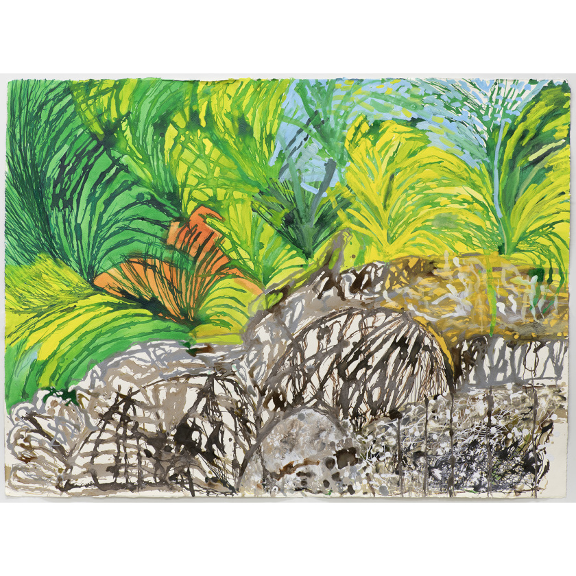 Dandenong Ranges, Sherbrooke Forest, Mount Field National Park, Tasmania, Rainforest Murray River