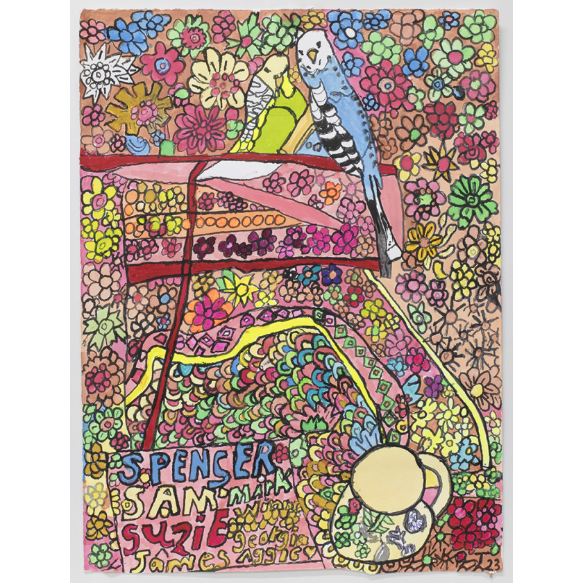 Barty and Bomber Rakhis Pet Budgies