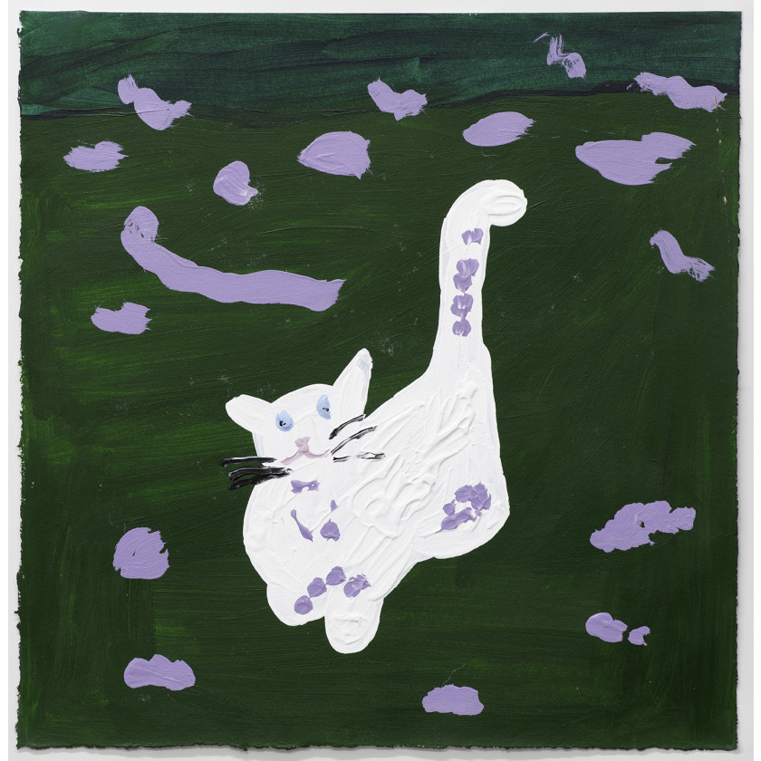 White Cat