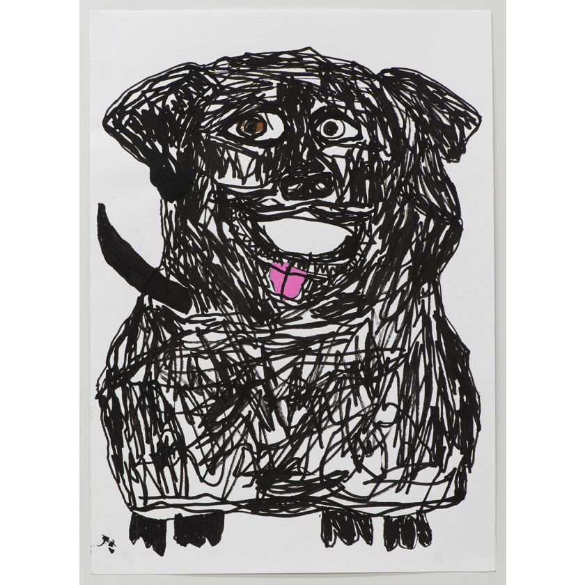 A Dog Named Bella