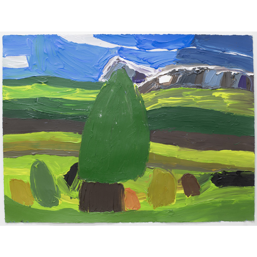 Pine Tree