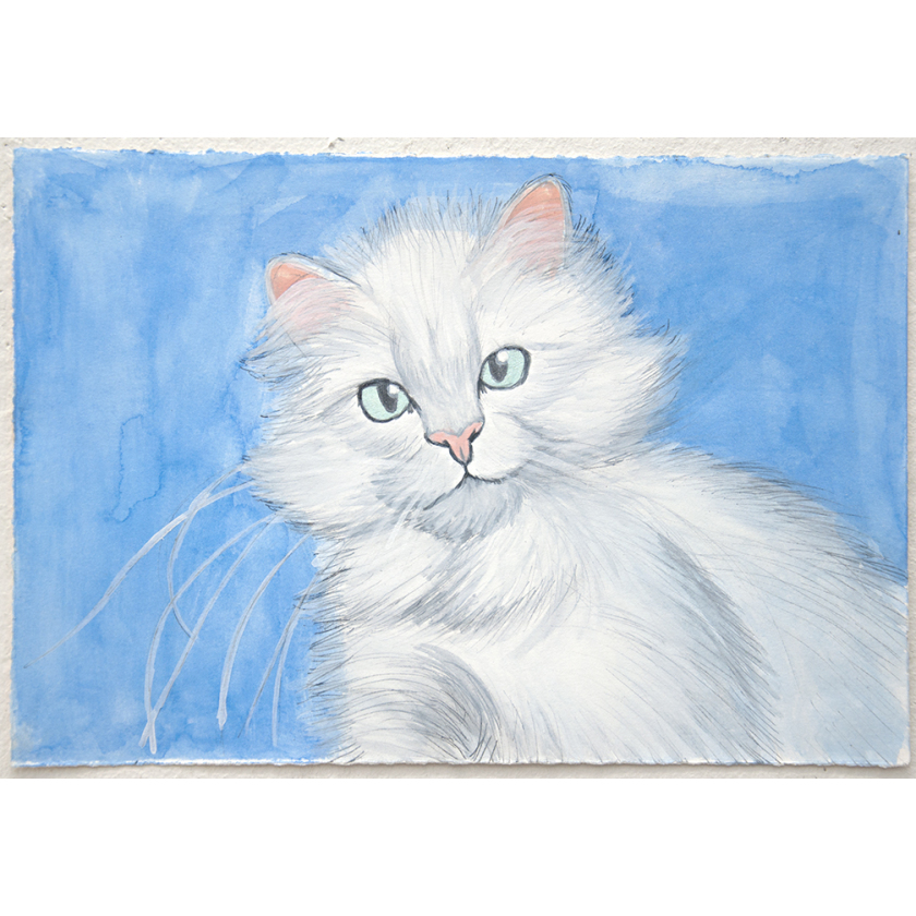 White Persian Cat