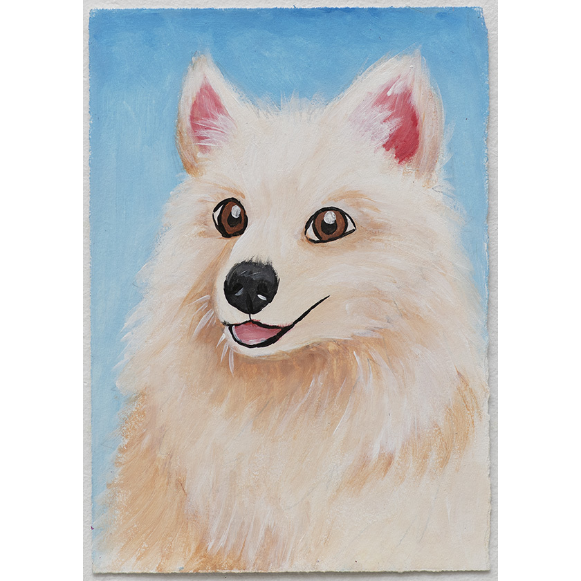 Social Samoyed