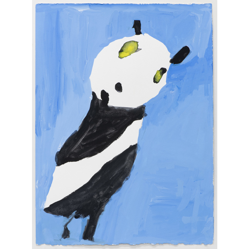 Panda Bear