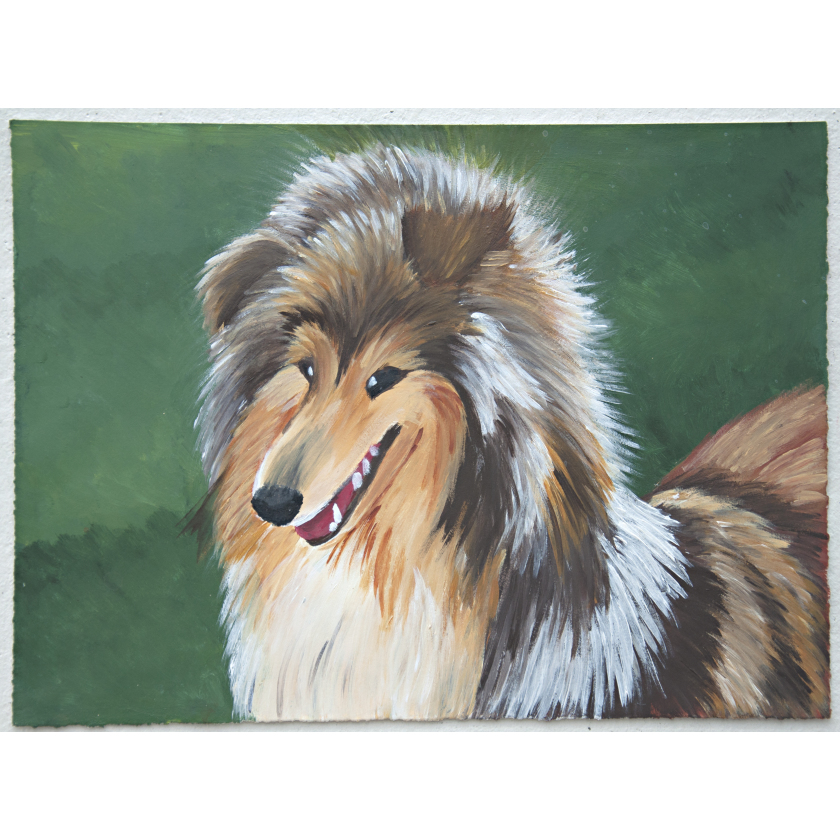 Cheerful Collie