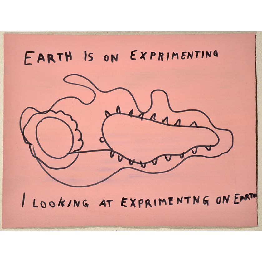 Earth on experimenting I looking at experimenting on Earth