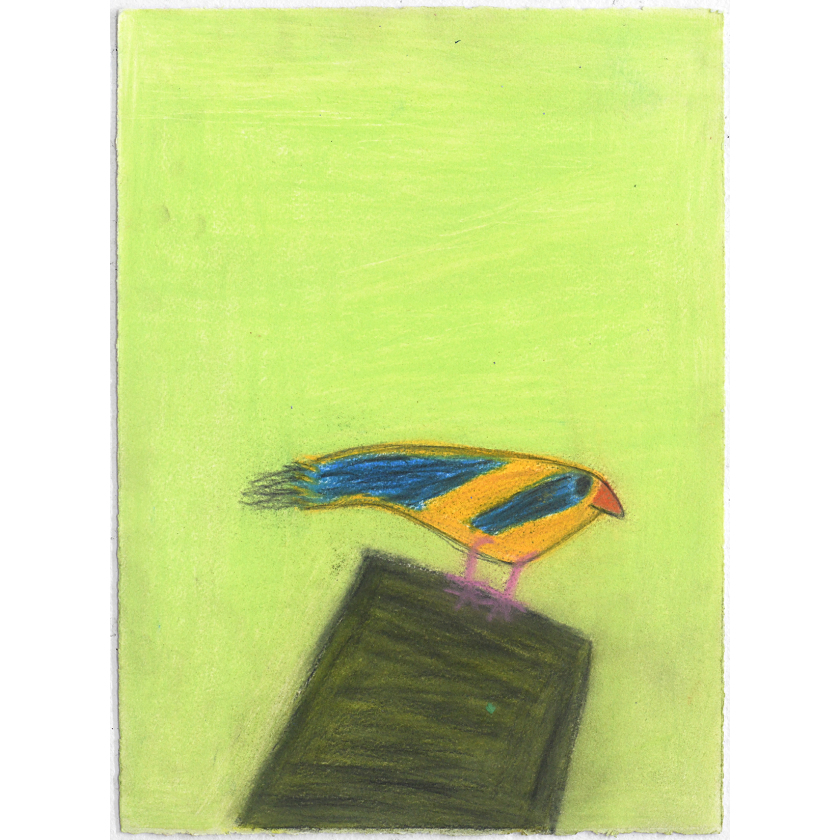 Untitled