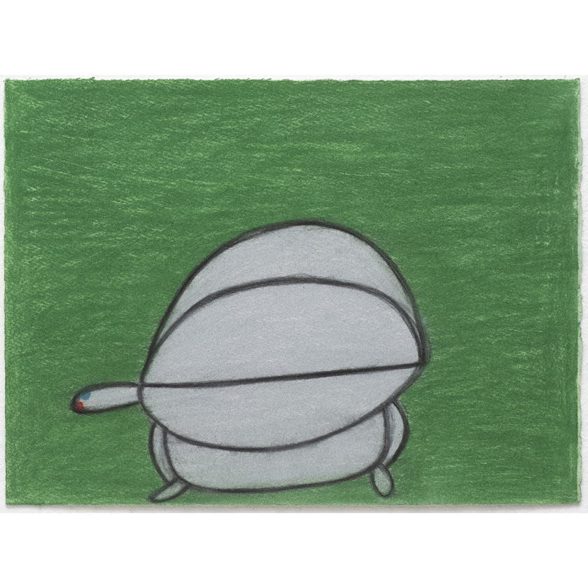 Turtle