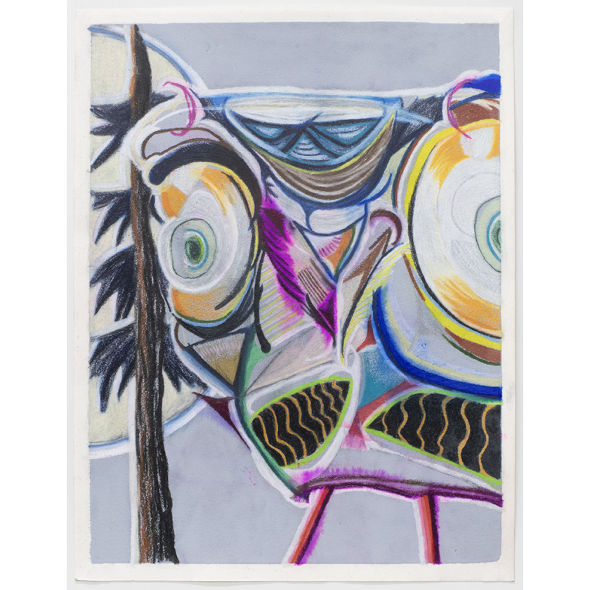 Owl in the Moonlight