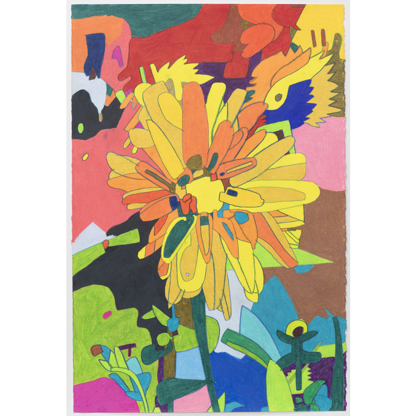 Orange Flower