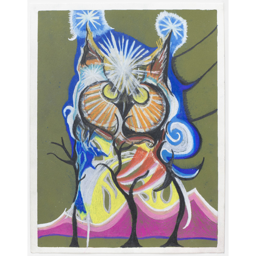 Night-Time Swallows Owl